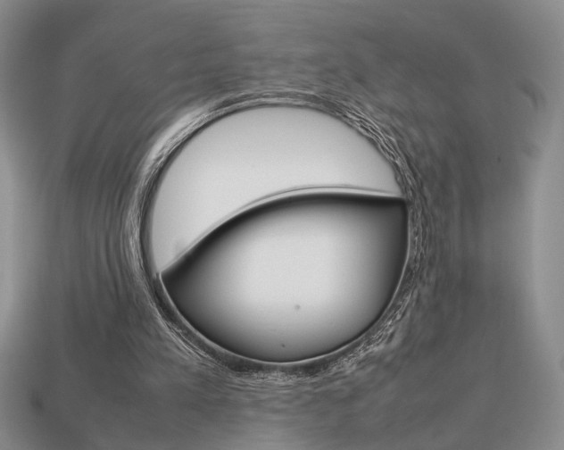X0000113780197200909231048