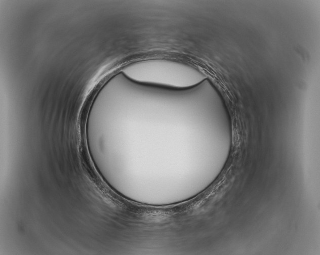 X0000113780198200909231048