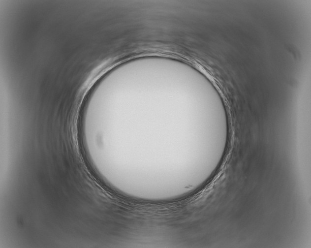 X0000113780199200909231048