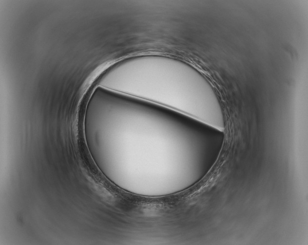 X0000113780200200909231048