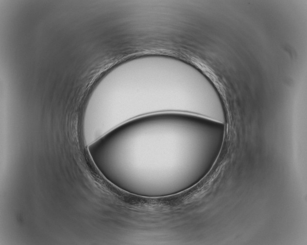 X0000113780201200909231048