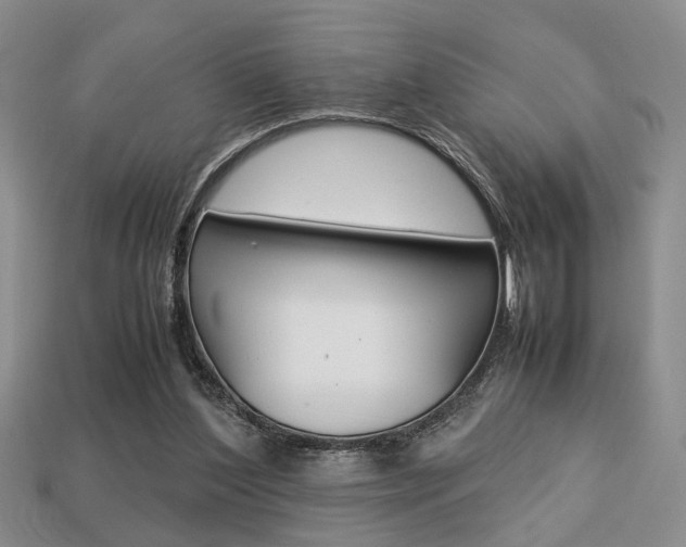 X0000113780204200909231048