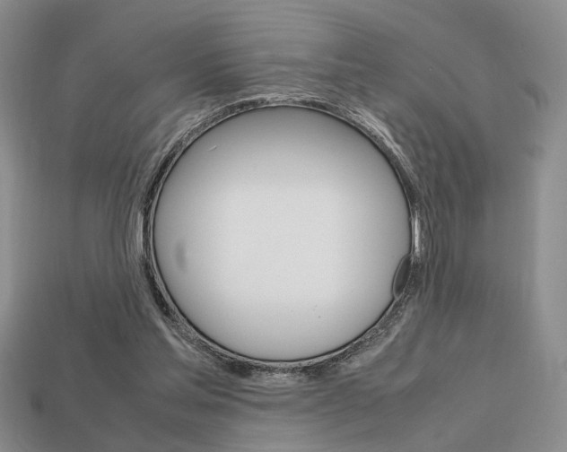 X0000113780205200909231048