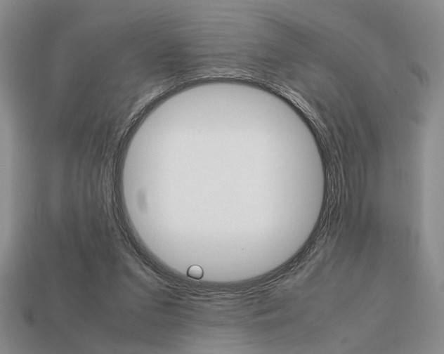 X0000113780207200909231048