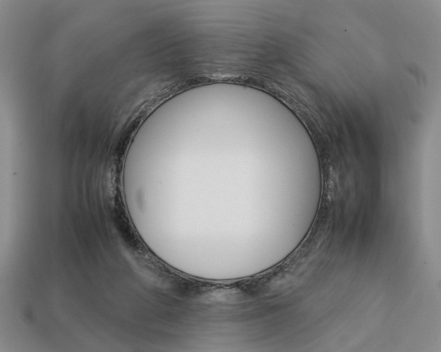 X0000113780210200909231048