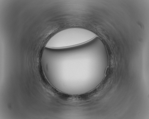 X0000113780211200909231048