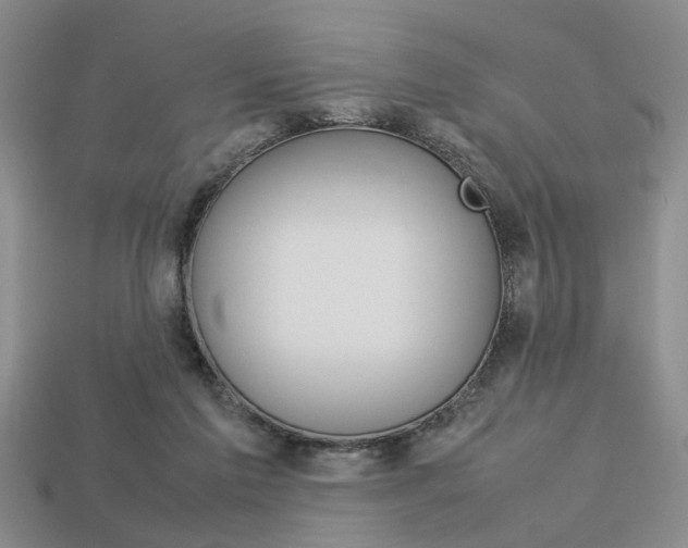 X0000113780213200909231048