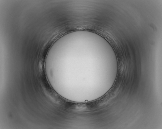 X0000113780214200909231048