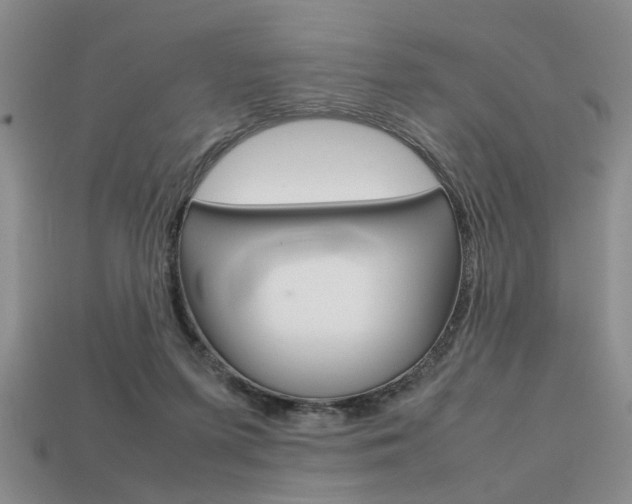 X0000113780215200909231048