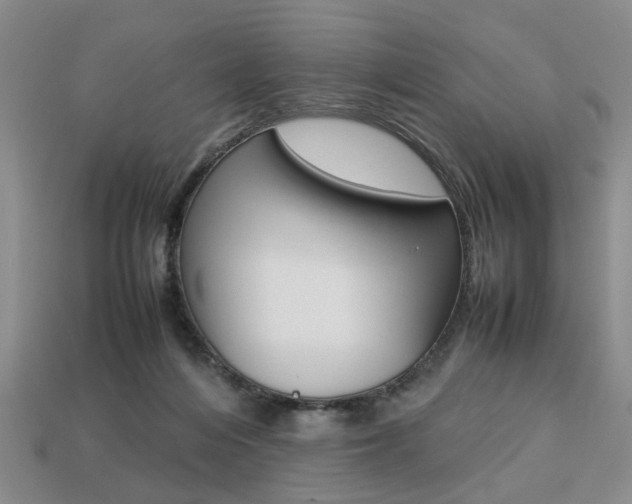 X0000113780216200909231048