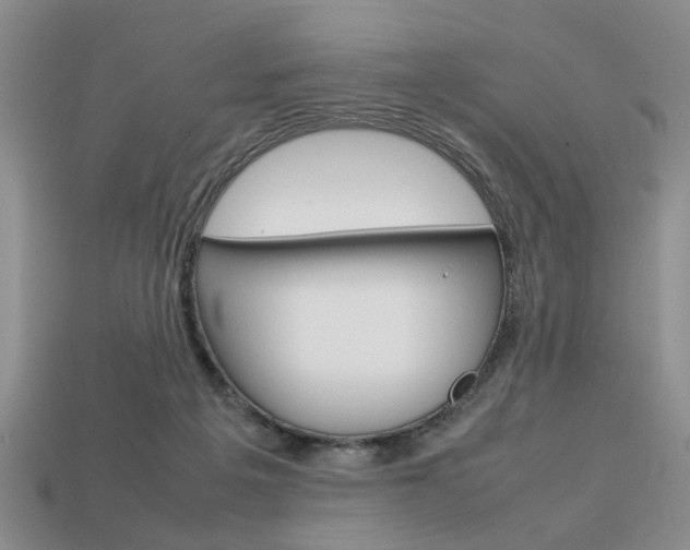X0000113780217200909231048