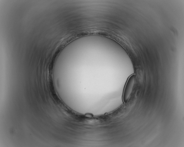 X0000113780220200909231048