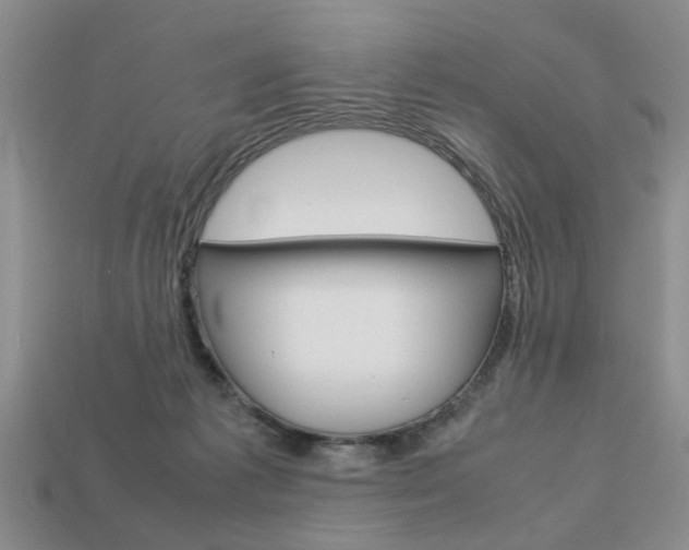 X0000113780221200909231048