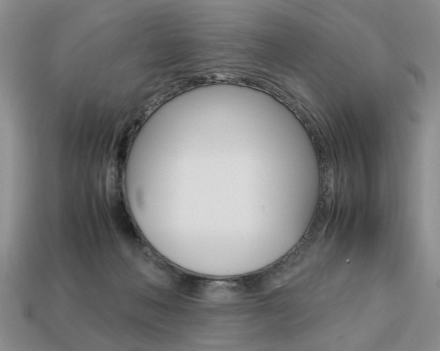 X0000113780222200909231048