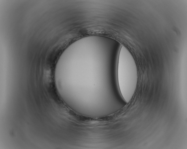 X0000113780224200909231048