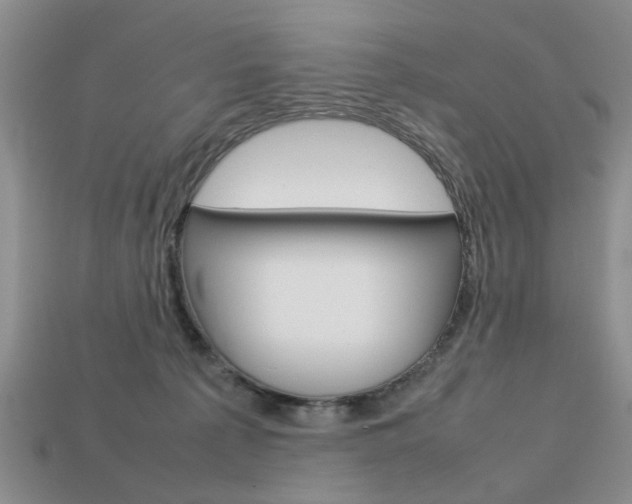 X0000113780225200909231048