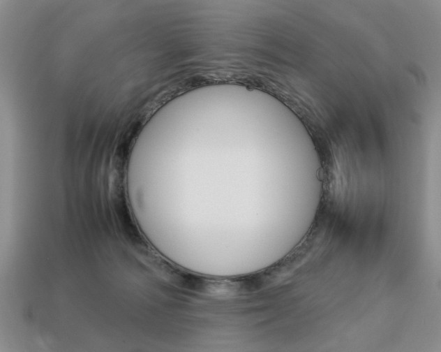 X0000113780226200909231048