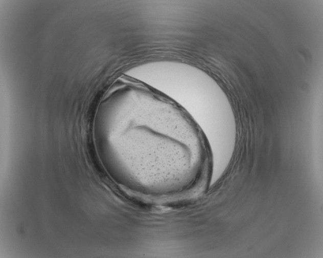 X0000113780227200909231048