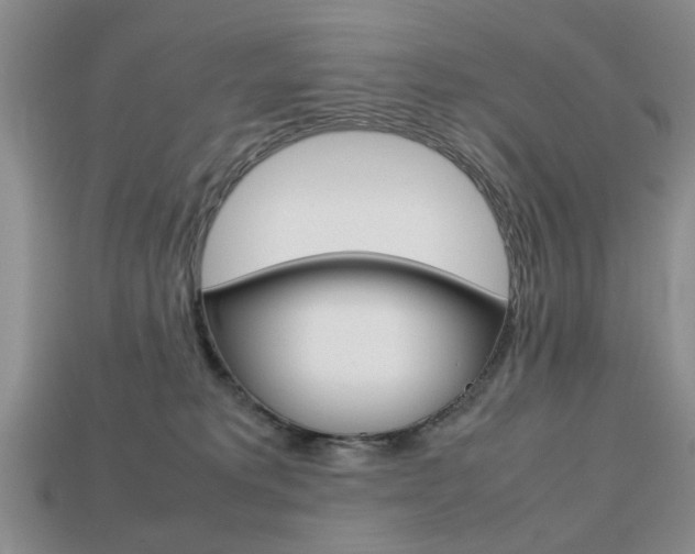 X0000113780229200909231048