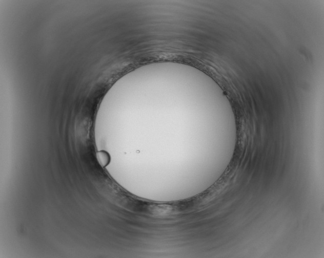 X0000113780230200909231048