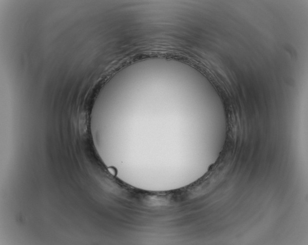 X0000113780232200909231048