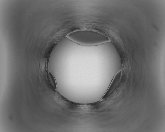 X0000113780233200909231048