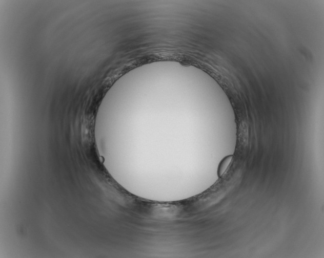 X0000113780234200909231048
