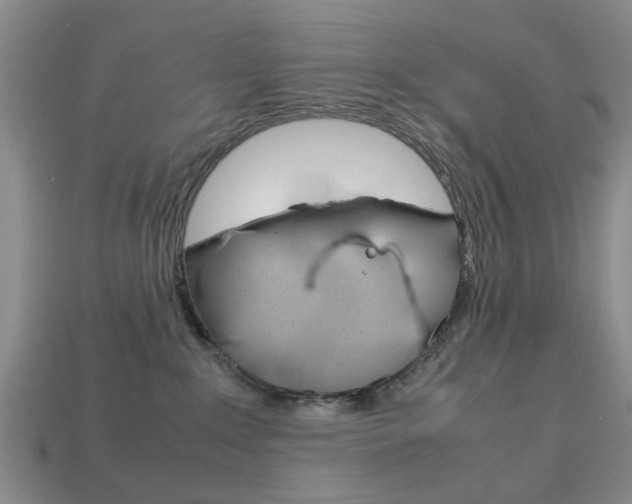 X0000113780235200909231048