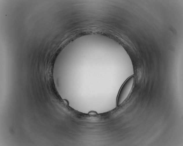 X0000113780236200909231048