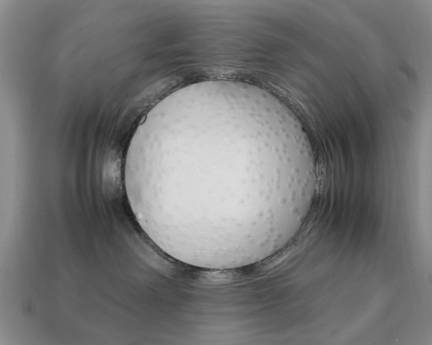 X0000113780238200909231048