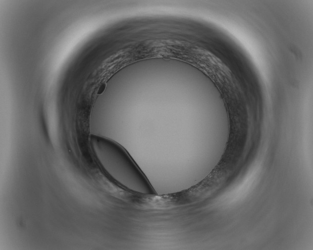 X0000113780239200909231048
