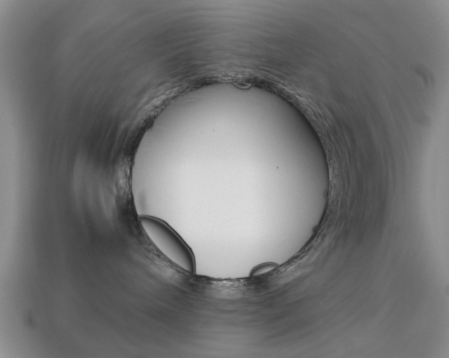 X0000113780240200909231048