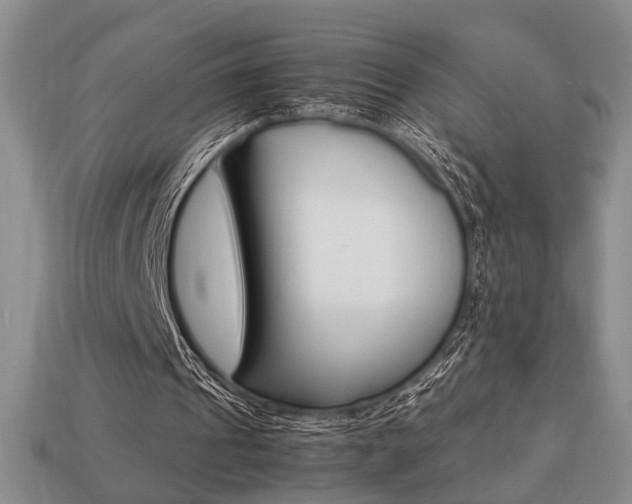 X0000113780241200909231047