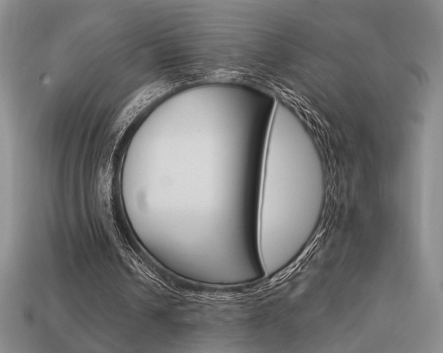 X0000113780242200909231047
