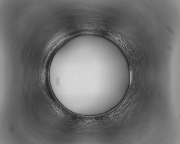 X0000113780243200909231047