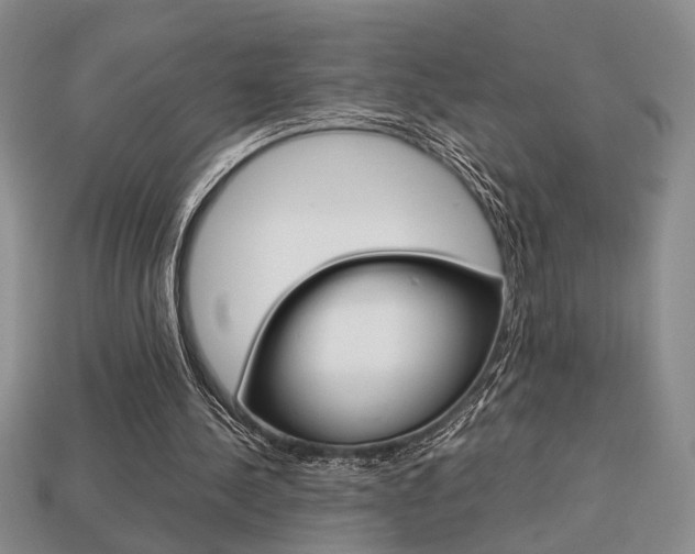 X0000113780244200909231047