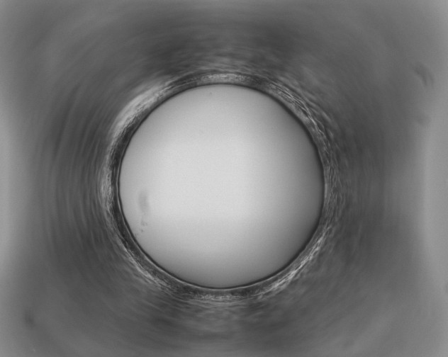 X0000113780245200909231047