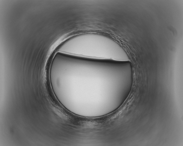 X0000113780246200909231047
