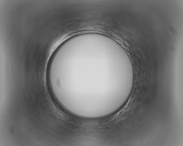 X0000113780248200909231047
