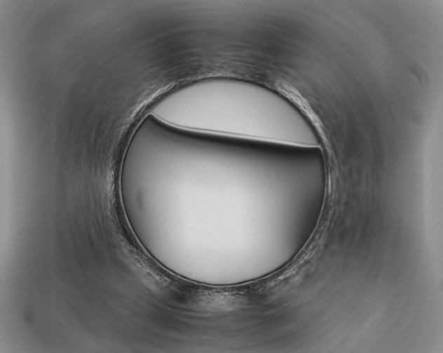 X0000113780249200909231047