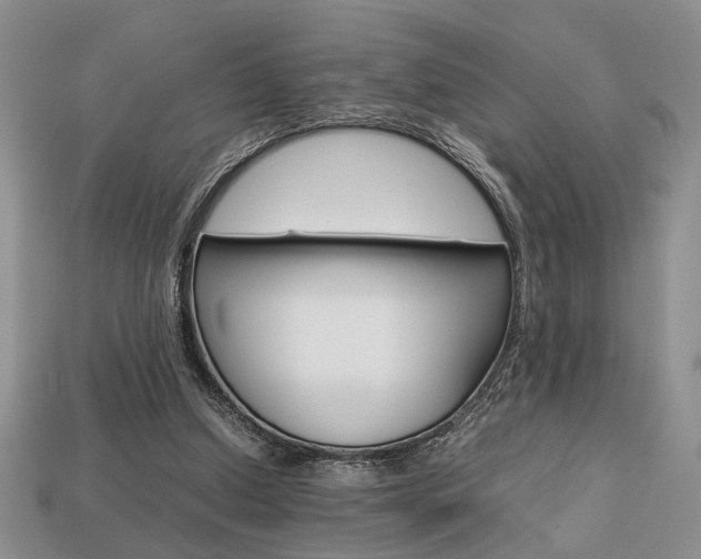 X0000113780250200909231047
