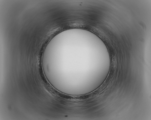 X0000113780255200909231047
