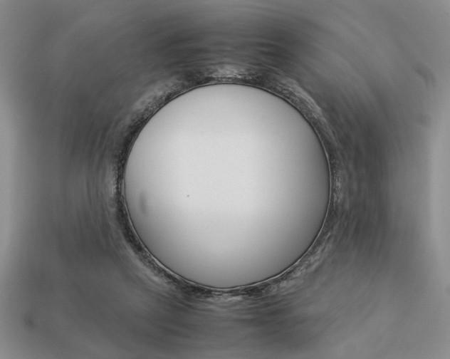 X0000113780257200909231047