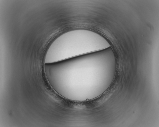 X0000113780258200909231047
