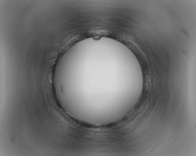 X0000113780259200909231047
