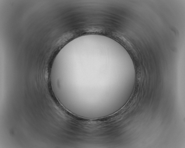 X0000113780261200909231047