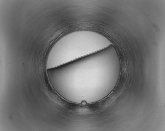X0000113780262200909231047