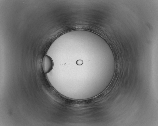 X0000113780263200909231047