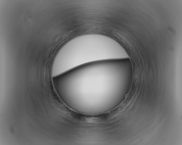 X0000113780268200909231047