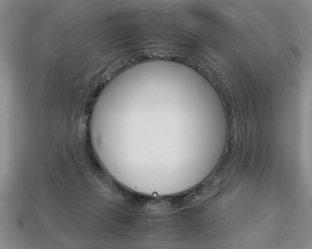 X0000113780271200909231047